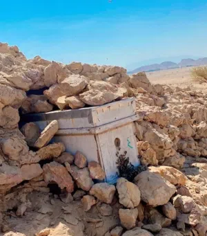 مطلوب خلية نحل خمسه برواز