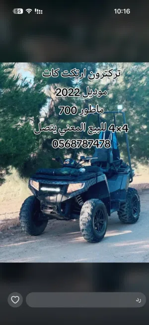 Arctic cat