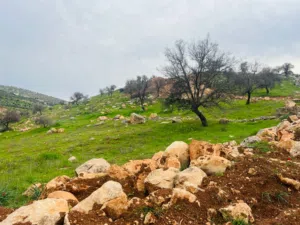 Farm Land for Sale in Zarqa Al-Alouk