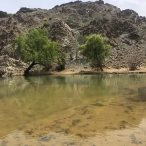 ابو ناصر 