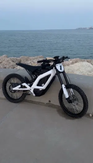 Modded kugoo wish 04