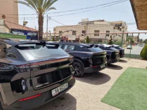 New Dongfeng Sky EV01 in Irbid