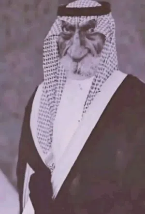 حسون 