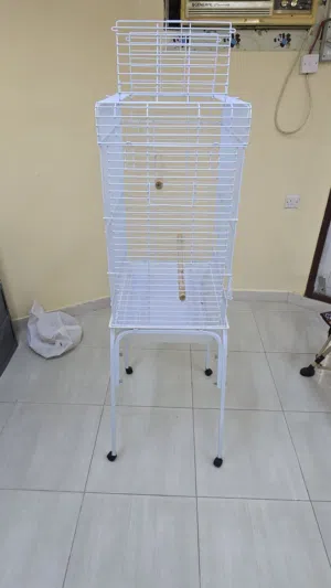 Birds Cage