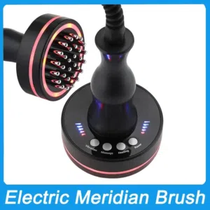 Electric Meridian Brush