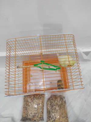طير كروان مدرب