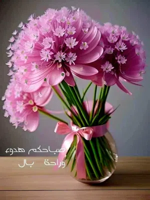 فهيد ابو زيد 