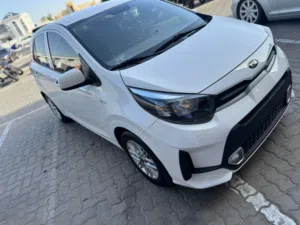كيا اوراق جمارك في قمه النظافه 2021
