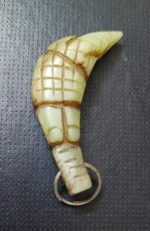 حجر  طبيعي على  شكل تمساح