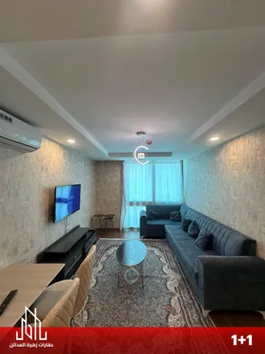 1 Bedroom . Furnished . Yearly1