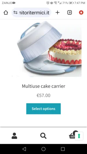 Fresh & Carry multiuse cake carrier