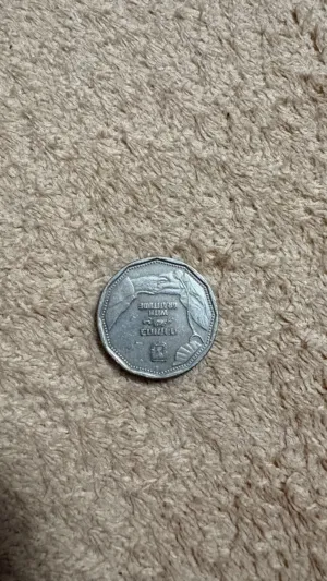 نادرة جداً 2021 عملة 5 شواكل جديدة UNC مع الامتنان