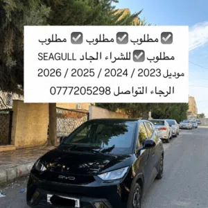 Used BYD Seagull in Amman