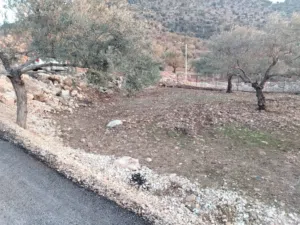 Mixed Use Land for Sale in Ajloun Kuforanja