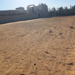 تلاثه قطع للبيع