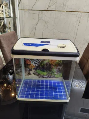Small glass aquarium tank with lid and filter - ready to use