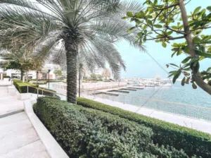 luxury flat with marina view /شقه راقيه بموقع مميز عالمارينا مباشره