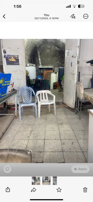 17 م٢ . المالك1