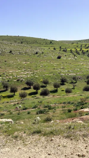 Farm Land for Sale in Jerash Dahl