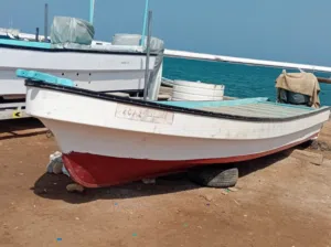 ثيبر 23 للبيع