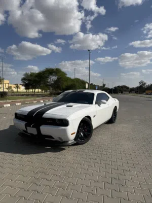 Used Dodge Challenger in Al Ahmadi