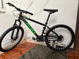 Bicycle with disc break
