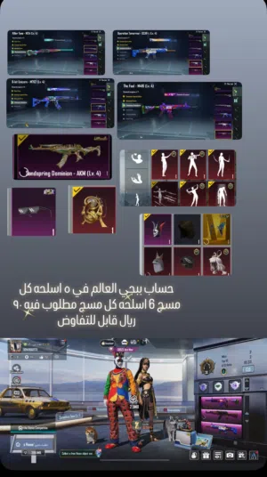 Pubg Accounts and Characters for Sale in Buraimi