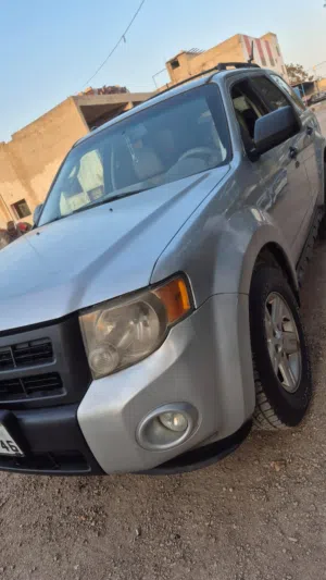 Used Ford Escape in Amman