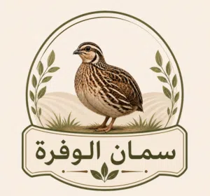 سمان الوفرة 