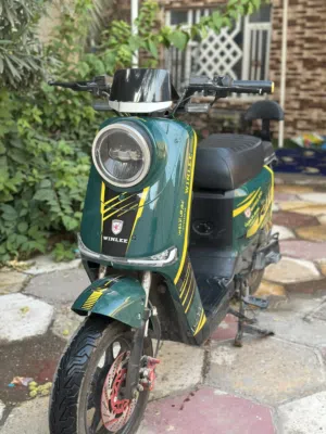 للبيع دراجة شحن كهربائية R11