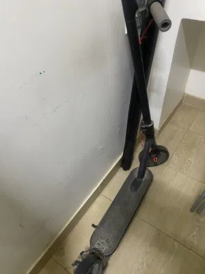 عق سعرك جبني شله