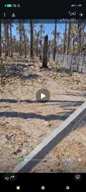 بستان طابو صرف للبيع في الحسينية