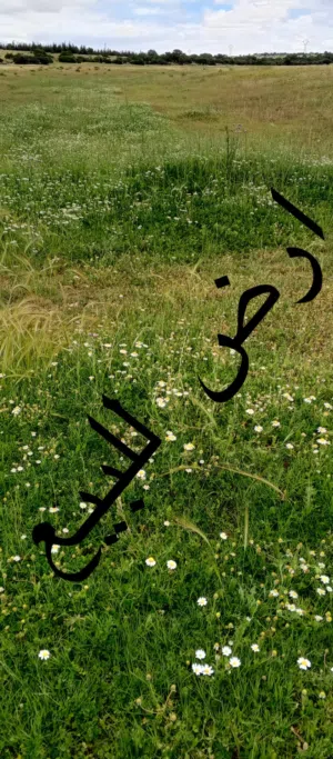 Farm Land for Sale in Kairouan Other