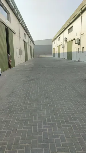 ‏سنوي ‏.‏ 2700 قدم٢‏2