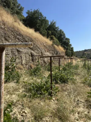 Farm Land for Sale in Salt Al Remeimeen