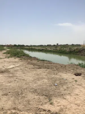 ارض زراعيه على مباشر على شط العرب في ابي الخصيب / باب ميدان - ابيع اسهم تواصل