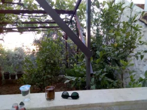 160 m2 Studio Townhouse for Rent in Salt Al Maghareeb