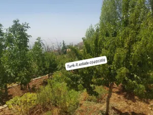 شقة للبيع في بوارج