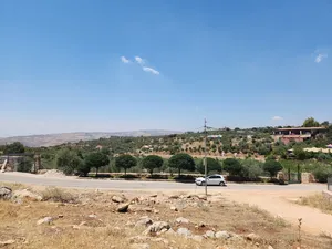 Residential Land for Sale in Amman Badr Jdedeh