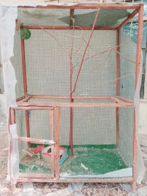 قفص طيور حب