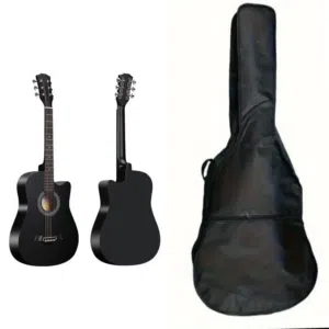 new guitar with bag , string,capo