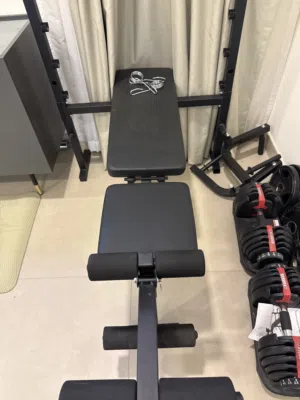 Dumbbells, bench and bar with weights