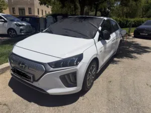 Ionic 2020 electric
