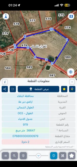 مزرعه في الغور للبيع