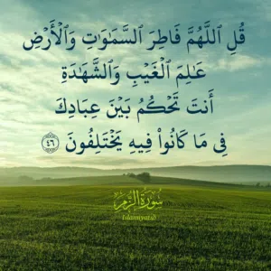 محمد اتمهيرات 