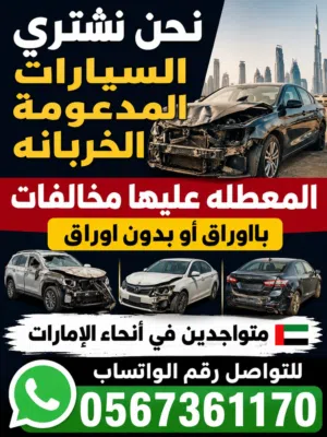 شراء السيارات كاش