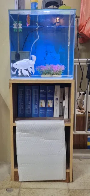 CUBE AQUARIUM حوض مكعب