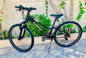 24 Trek Precaliber
