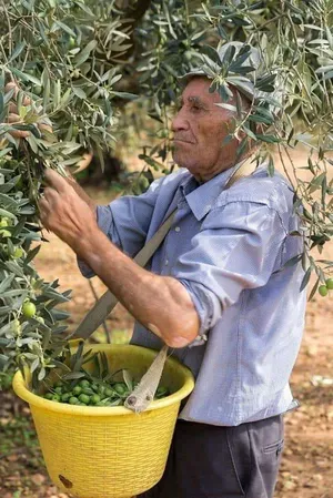 ‏زيوت‏0