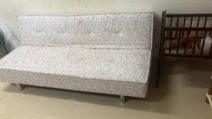 Sofa cum Bed